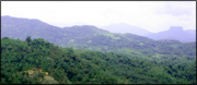 badulla-natur.jpg
