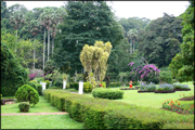 gampaha-botanisk-tradgard.jpg