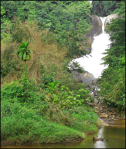 nuwara-eliya-vattenfall.jpg